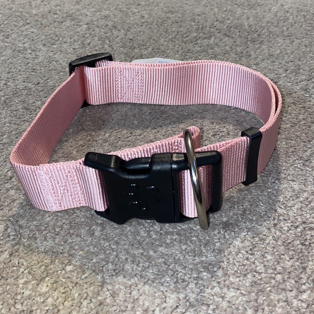 Dog Collar